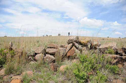 British Sangers on Spionkop