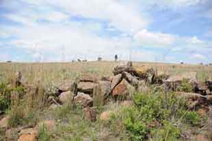 British Sangers on Spionkop