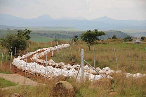 Mass Graves on west side of Spionkop