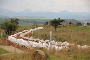 Mass Graves on west side of Spionkop